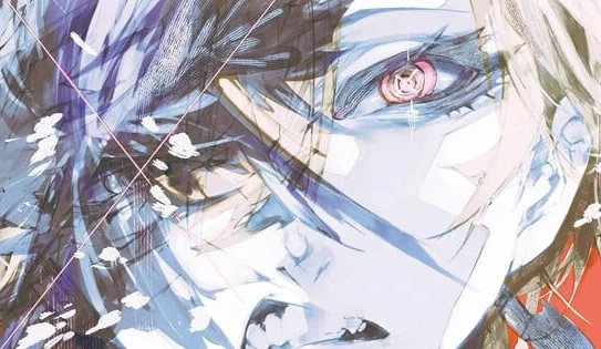 Bungo Stray Dogs STORM BRINGER tem hiato prolongado reportado por saúde da autora