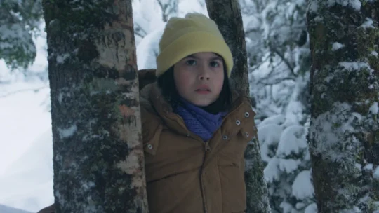 El deshielo é escolhido pelo Chile para disputar o Oscar 2027